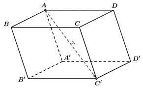 Cho hình hộp ABCD.A'B'C'D' . Mệnh đề nào sau đây sai? (ảnh 1)