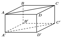 Chọn B  Ta c&oacute; \(A'C'//AC\) n&ecirc;n \(\left( {AB,A'C'} \right) = \left( {AB,AC} \right) = \widehat {BAC} = 45^\circ \) (v&igrave; \(ABCD\) l&agrave; h&igrave;nh vu&ocirc;ng). (ảnh 1)