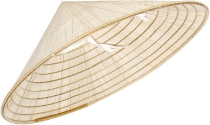 Nón lá là một vật dụng cần thiết và hữu ích trong (ảnh 1)