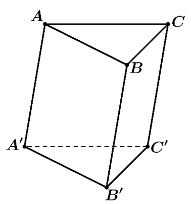 Đáp án đúng là B (ảnh 1)
