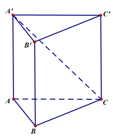 Do \(ABCA'B'C'\)l&agrave; lăng trụ đứng, g&oacute;c giữa \( (ảnh 1)