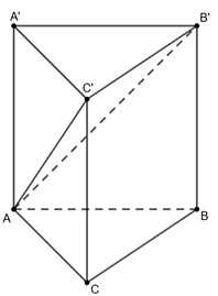Đ&aacute;p &aacute;n: \[3,46\]. Th&ecirc;̉ tích kh&ocirc;́i chóp \[A.BCC'B'\] là: \[ (ảnh 1)