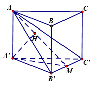 Đ&aacute;p &aacute;n: 24 (ảnh 1)