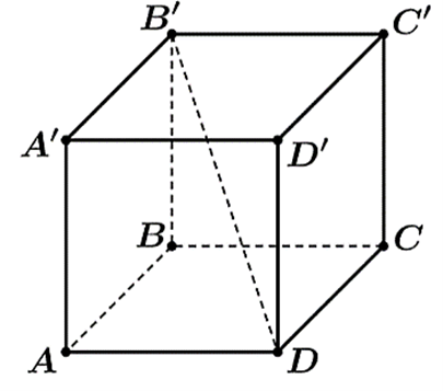 Cho hình hộp \(ABCD.A'B'C'D'\) (xem hình vẽ). Phát biểu nào sau đây là đúng? (ảnh 1)