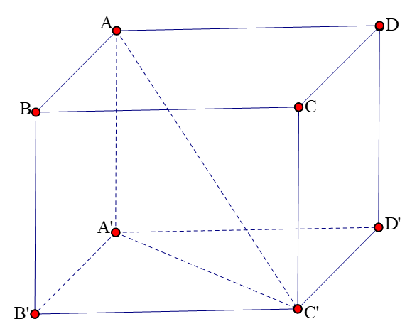 Vậy độ d&agrave;i vectơ \(\overrightarrow {AB}+ \overrightar (ảnh 1)