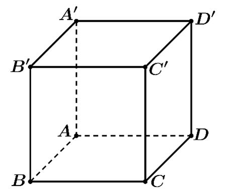 C&acirc;u 5:	Cho h&igrave;nh lập phương \[ABCD.A'B'C'D'\] c&oacute; cạnh \(2\) (tham khảo h&igrave;nh vẽ b&ecirc;n dưới). Độ d&agrave;i của vectơ \(\vec u = \overrightarrow {A'C'}  - \overrightarrow {A'A} \) bằng (ảnh 1)