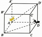 Đ&aacute;p &aacute;n: \(9\) (ảnh 1)
