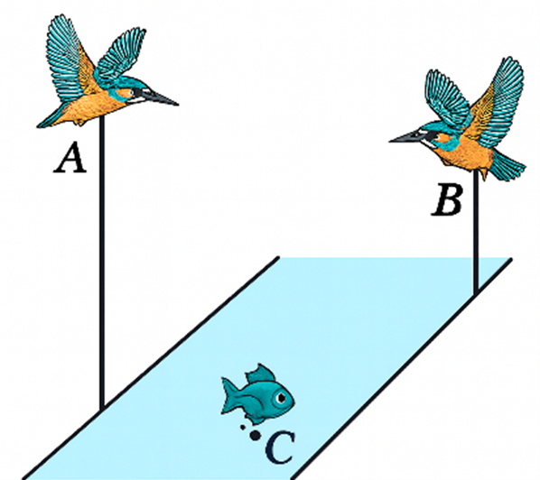 Khảo s&aacute;t h&agrave;m số \(f\left( y \right)\) tr&ecirc;n \(\left( (ảnh 1)