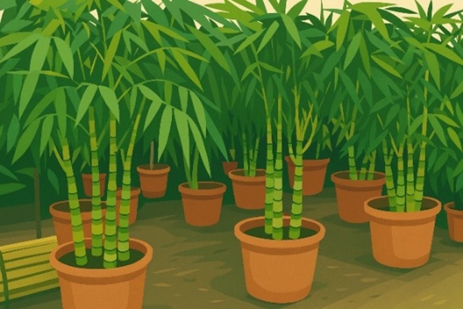 T&iacute;nh gi&aacute; trị tại c&aacute;c đầu m&uacute;t, suy ra kh (ảnh 1)