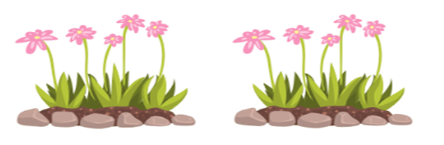 c) Phép nhân thích hợp với bức tranh là: A. 5 × 2 = 10                B. 5 × 3 = 15 C. 2 × 5 = 10                D. 3 × 5 = 15 (ảnh 1)