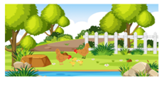 d) Một con gà có 2 chân. Vậy 5 con gà có số chân là: A. 5 chân       B. 7 chân  C. 8 chân   D. 10 chân  (ảnh 1)