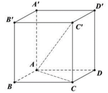 Chọn C  Giả sử h&igrave;nh lập phương \(ABCD.A'B'C'D'\ (ảnh 1)
