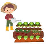 Lâm ra vườn tưới rau giúp mẹ. Quan sát vườn rau nhà Lâm, em điền từ thích hợp nhé.     Vườn nhà Lâm chắc chắn có ... , ... ,  ....  Vườn nhà Lâm không thể có .... (ảnh 1)