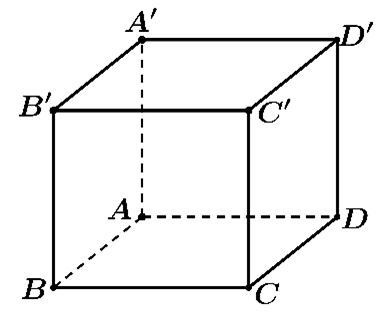 C&acirc;u 6:	Cho h&igrave;nh hộp \(ABCD.A'B'C'D'\). T&iacute;nh tổng \(\overrightarrow {AB}  + \overrightarrow {AD}  + \overrightarrow {A'C'} \). (ảnh 1)