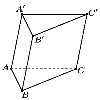 Đ&aacute;p &aacute;n đ&uacute;ng l&agrave; B (ảnh 1)