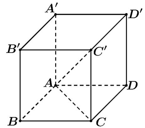 Đ&aacute;p &aacute;n đ&uacute;ng l&agrave; D (ảnh 1)