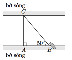 Đáp án đúng là C (ảnh 1)