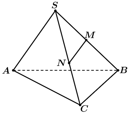 Đ&aacute;p &aacute;n đ&uacute;ng l&agrave; D (ảnh 1)