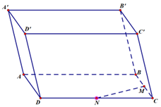 Chọn B \(MN\) l&agrave; đường trung b&igrave;nh trong tam gi&aacute;c \(\Delta BDC\) n&ecirc;n \(BD = 2MN\). \(2\overrightarrow {MN}  = \overrightarrow {B'D'} \) (do c&ugrave;ng hướng). (ảnh 1)
