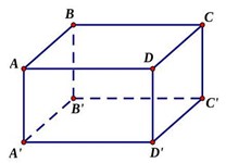 Chọn A  &nbsp;  Ta c&oacute; \(\left( {\overrightarrow {A'B'} ;\ (ảnh 1)
