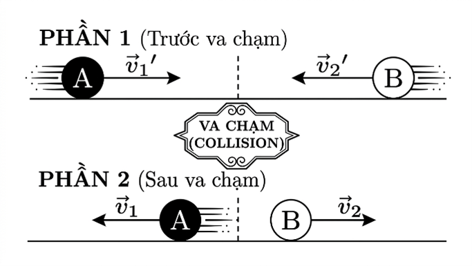 Chọn B \(MN\) l&agrave; đường trung b&igrave;nh trong tam gi&aacute;c \(\Delta BDC\) n&ecirc;n \(BD = 2MN\). \(2\overrightarrow {MN}  = \overrightarrow {B'D'} \) (do c&ugrave;ng hướng). (ảnh 1)