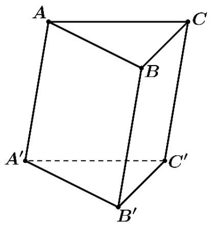 Chọn A   Một vectơ chỉ phương của \(d\) có tọa độ là \(( - 2;1; - 2)\) hay \(\overrightarrow {{u_3}}  = (2; - 1;2)\). (ảnh 1)