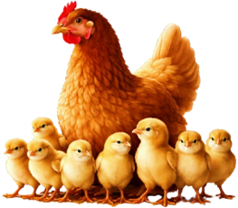 Khoanh vào chữ cái trước ý trả lời đúng. a) Đàn gà trong hình bên có bao nhiêu con? (ảnh 1)