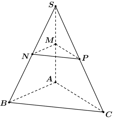 Tại thời điểm\(\left( {t = 0} \right)\)vận tốc của t&agrave; (ảnh 2)