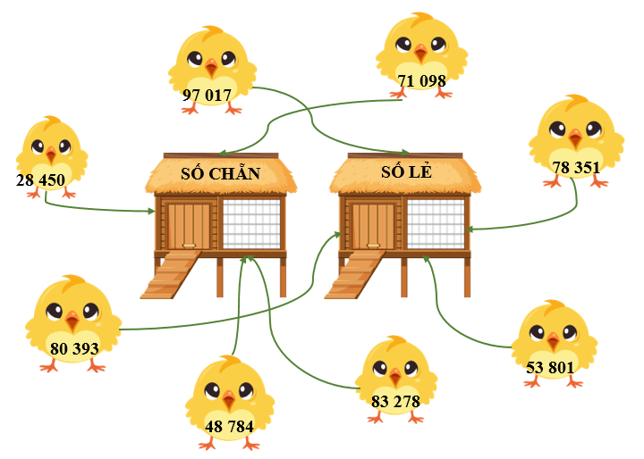 Nối các con gà với chuồng thích hợp  97 017 (ảnh 2)
