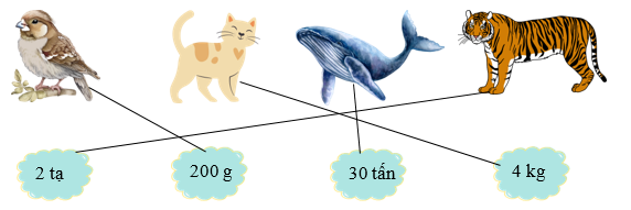 Nối con vật với số đo cân nặng thích hợp. (ảnh 2)