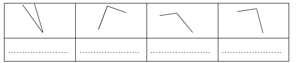 Điền tên góc thích hợp. (ảnh 1)
