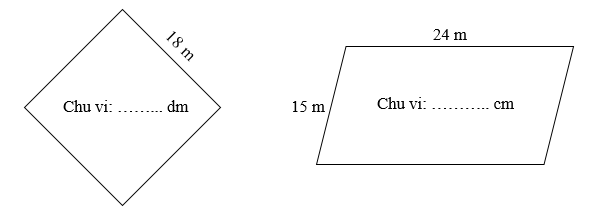 Điền số thích hợp vào chỗ chấm.  Chu vi: ……... dm (ảnh 1)