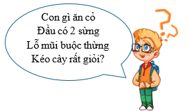 Em hãy giải ô chữ bằng cách thực hiện các phép tính tương ứng để tìm ra loài hoa mà bạn Nam nhắc đến. (ảnh 1)