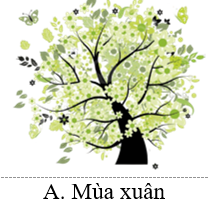 Hoa đào và hoa mai nở rộ vào mùa nào? (ảnh 2)
