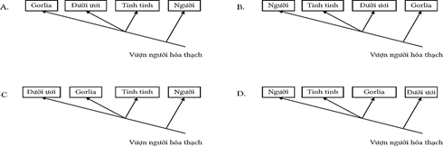  Bộ 2 đề thi giữa k&igrave; 2 Sinh học 12 Kết nối tri thức cấu tr&uacute;c mới c&oacute; đ&aacute;p &aacute;n (ảnh 1)