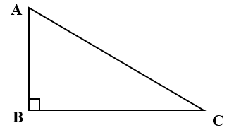 Chọn câu đúng: (ảnh 1)