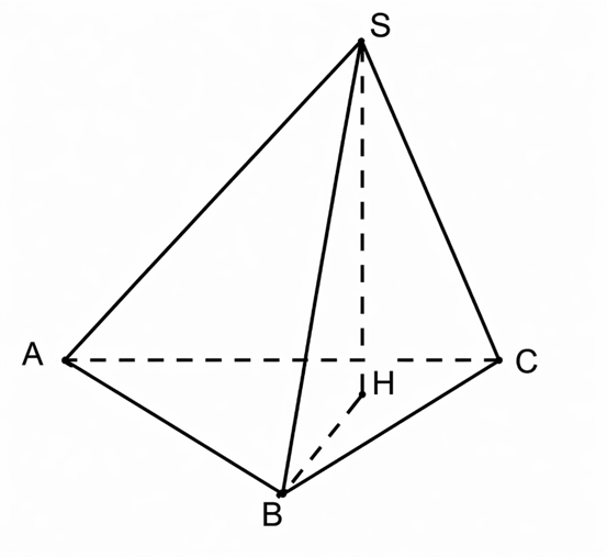 Trong không gian Oxyz, cho bốn điểm S(−1; 6; 2), A(0; 0; 6), B(0; 3; 0), C(−2; 0; 0). Gọi H là chân đường cao vẽ từ S của tứ diện SABC. Mặt phẳng đi qua ba điểm S, B, H có dạng ax + by + cz – 15 = 0. Tìm a? (ảnh 1)