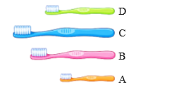 Quan sát hình và cho biết chiếc bàn chải nào dài nhất? (ảnh 1)