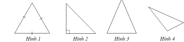 Trong các hình sau đây, hình nào là hình tam giác đều? (ảnh 1)