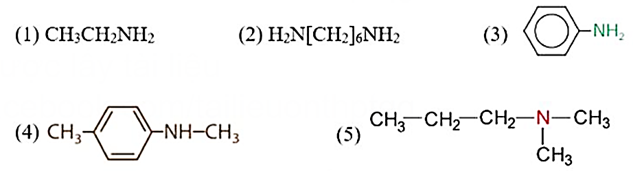 Có bao nhiêu chất thuộc loại alkylamine trong các chất sau đây? (ảnh 1)