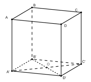 Hình lập phương ABCD.A'B'C'D' cạnh a. Tính độ dài vectơ x = AA′ + AC′ theo a (ảnh 1)