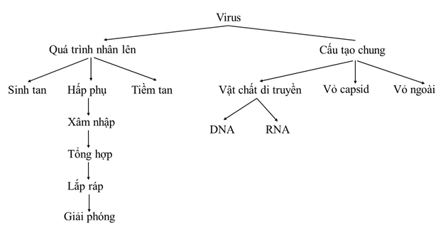 Vẽ bản đồ khái niệm với các khái niệm sau đây (ảnh 1)