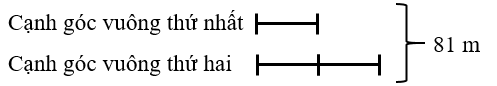 Giải bài toán sau: Một mảnh vườn hình tam giác vuông có tổng độ dài của hai cạnh góc vuông là 81 m. Cạnh góc vuông thứ hai gấp đôi cạnh góc vuông thứ nhất. Tính diện tích của mảnh vườn đó. (ảnh 1)