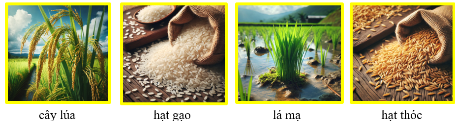 Em hãy quan sát bức tranh và viết tên các sự vật vào chỗ trống cho đúng: (ảnh 2)