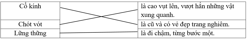 Bài 2. Nối đúng (ảnh 1)
