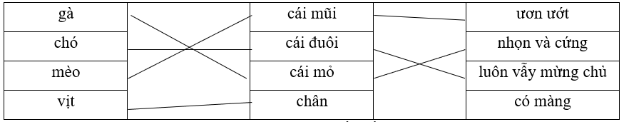 Nối các con vật sau với những từ chỉ đặc điểm từng bộ phận của chúng sao cho phù hợp:  gà		cái mũi		ươn ướt chó		cái đuôi	 (ảnh 1)
