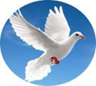 Giải câu đố sau. (ảnh 2)