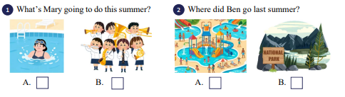Listen and tick (v). 🎧 What’s Mary going to do this summer?  (ảnh 1)