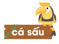 Gấu túi có cách 