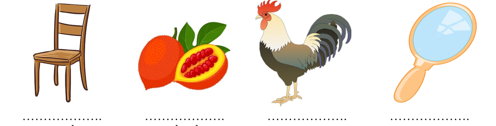 Điền c&aacute;c sự vật bắt đầu bằng &ldquo;gh&rdquo; hoặc &ldquo;g&rdquo; ph&ugrave; hợp với c&aacute;c h&igrave;nh ảnh: (ảnh 1)